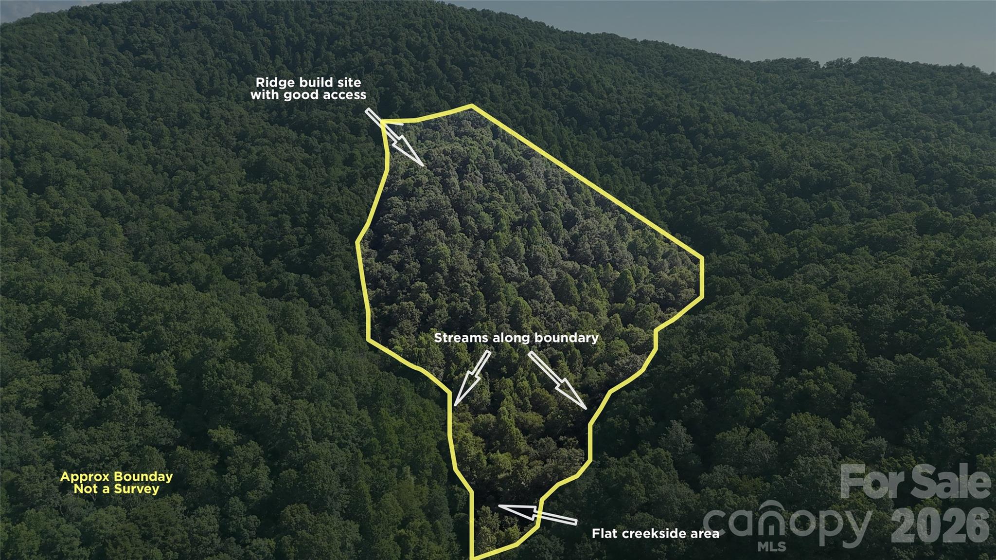 454 Forest Brook Road