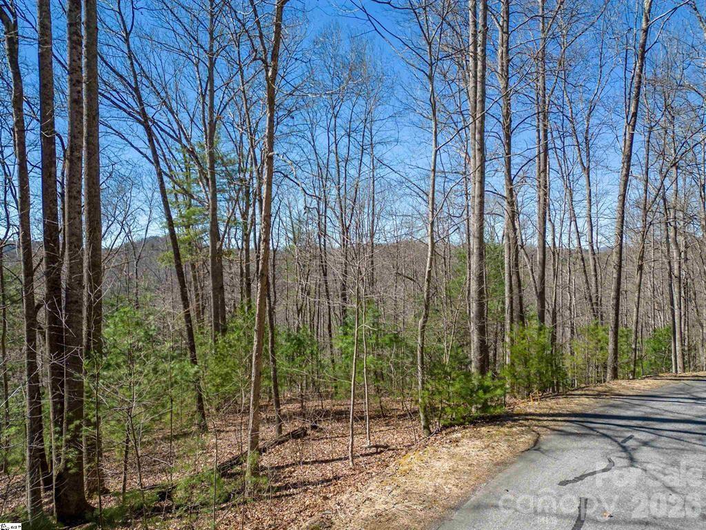 132 Overlook Park Drive