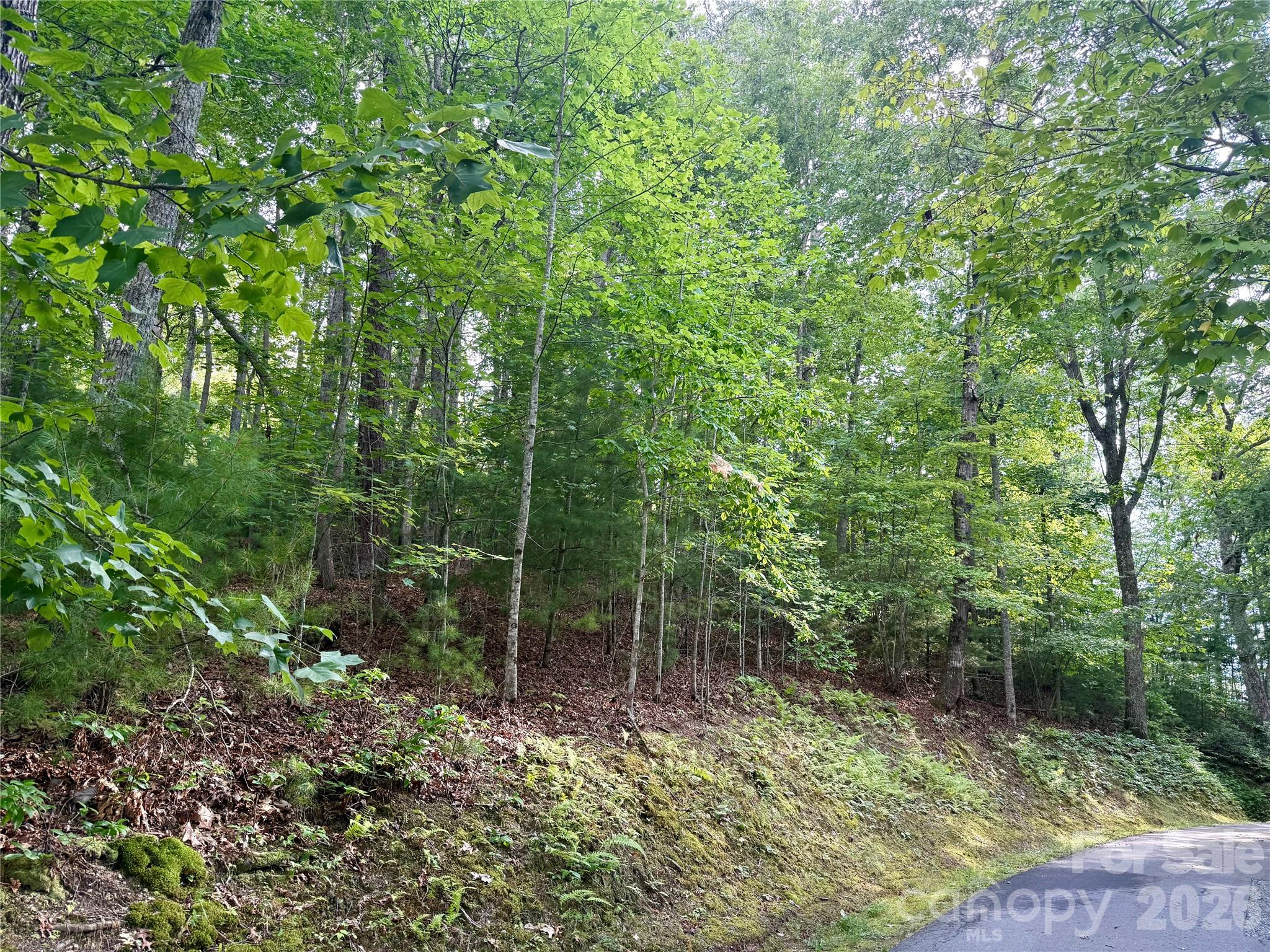 75 Longview Court