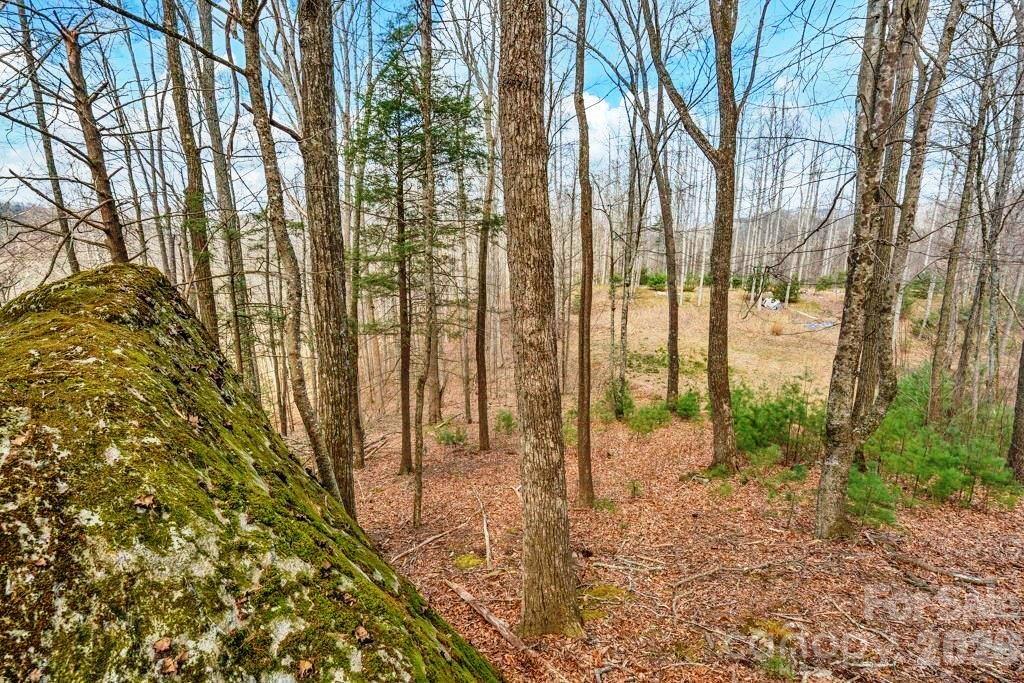 tbd Denney Wood Road