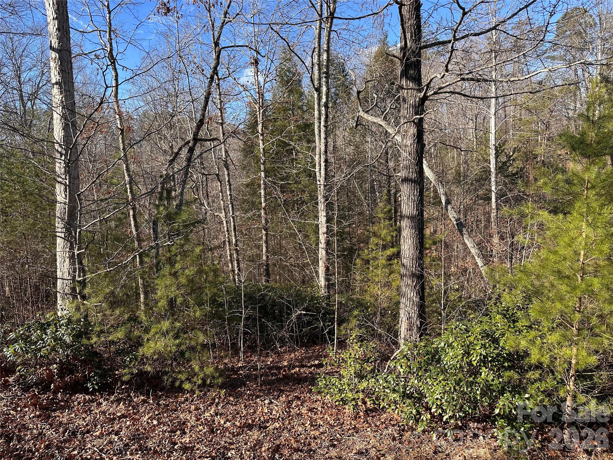 0 Rock Ledge Drive