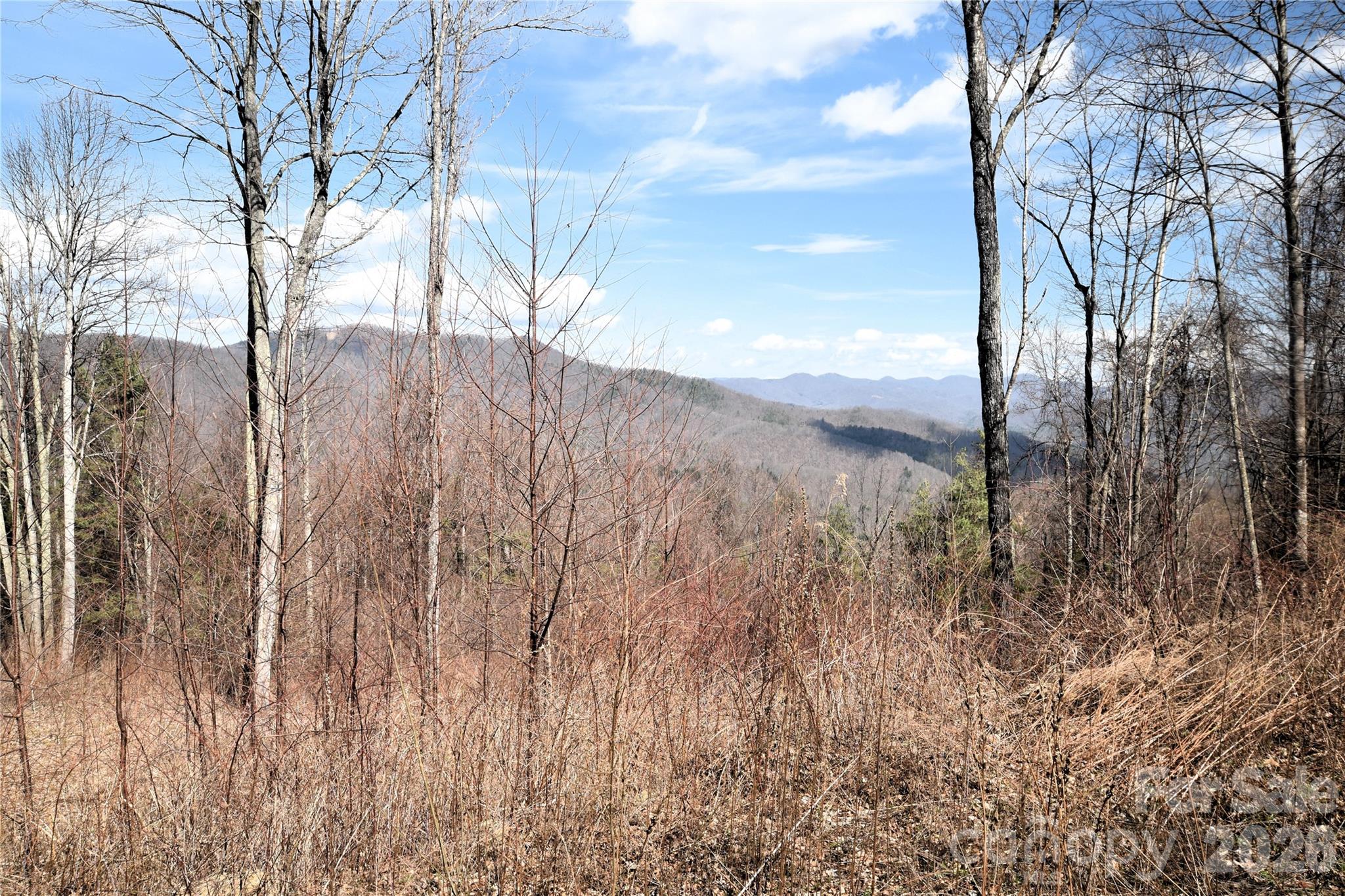 000 Curry Comb Trail