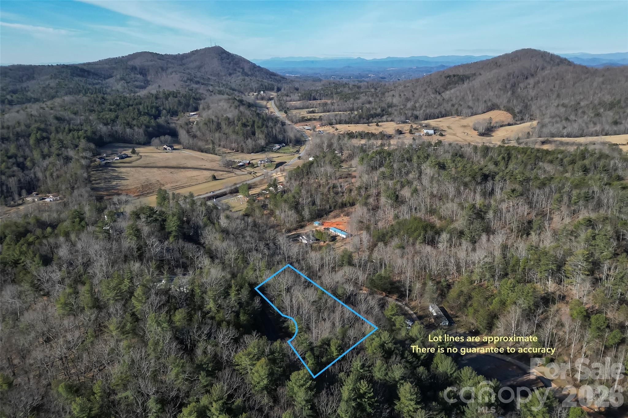 3124 Mountain Laurel Drive property