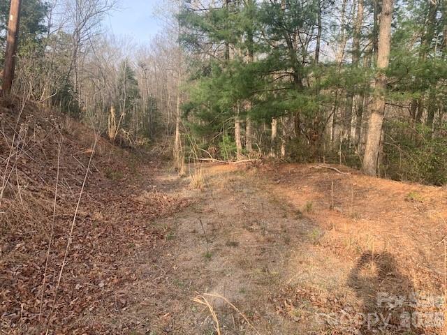 7.67 AC. HOLBERT COVE Road