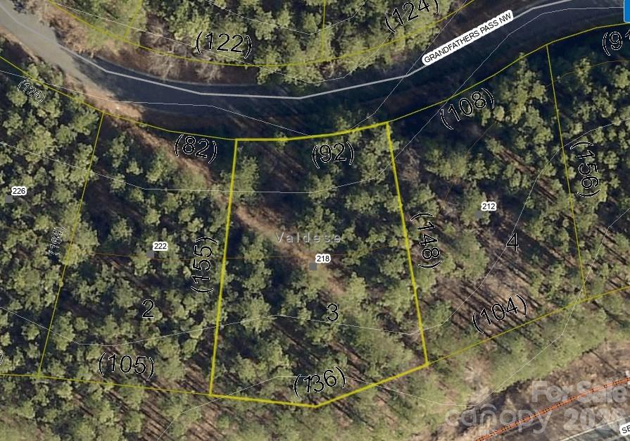 218 Grandfathers Pass property