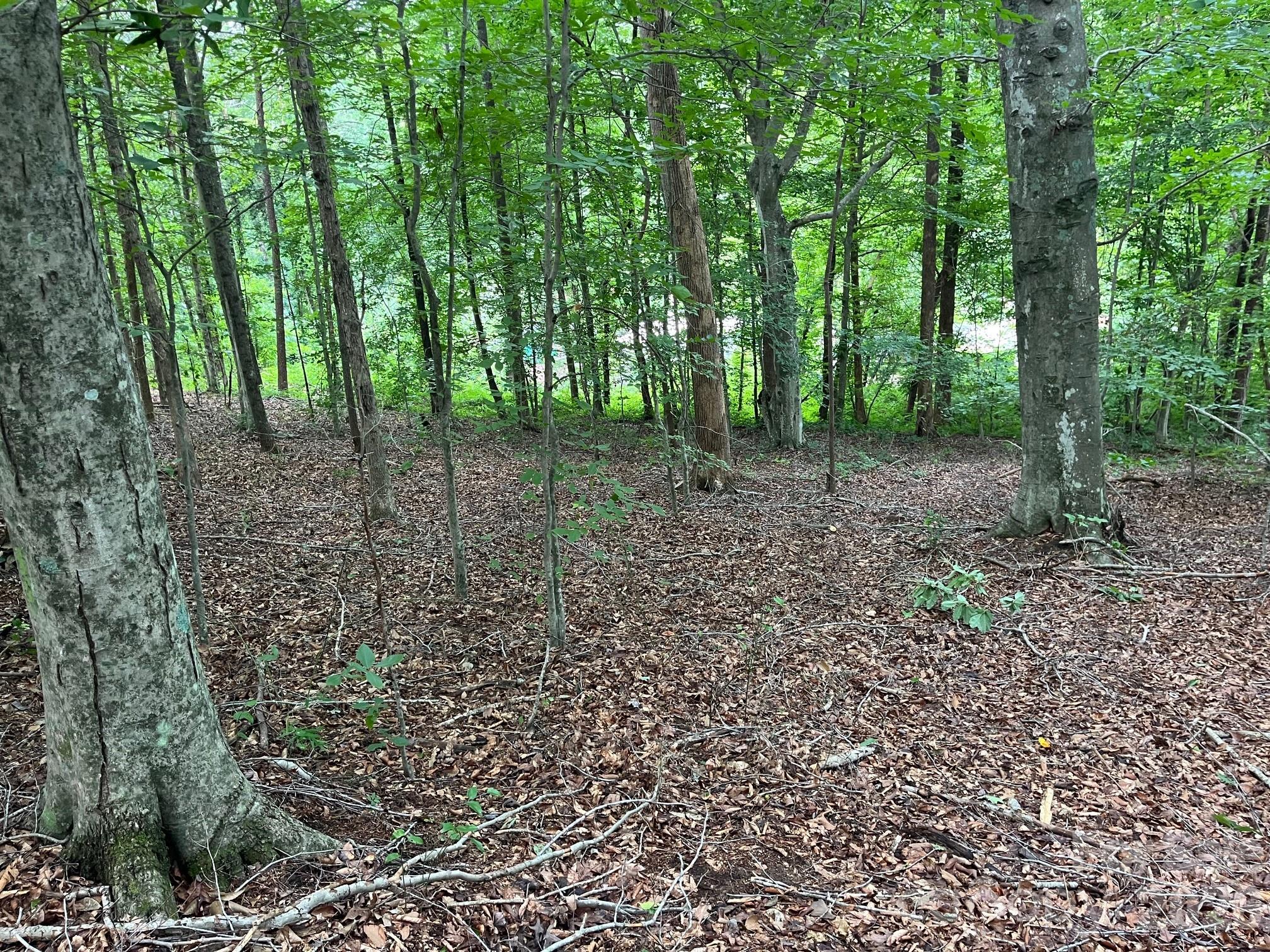 V/L Moore Branch Drive
