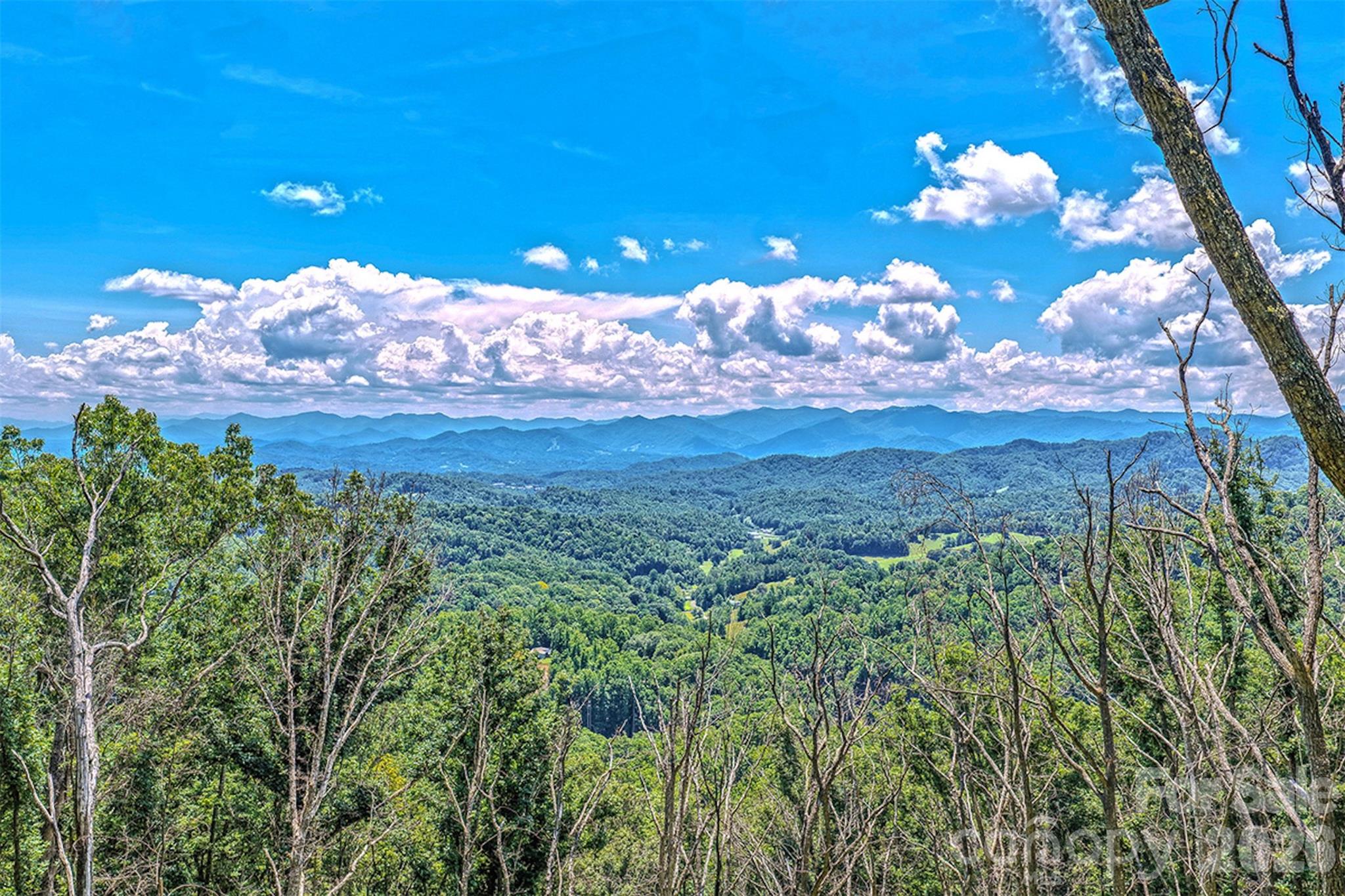 294 Red Knob Lane