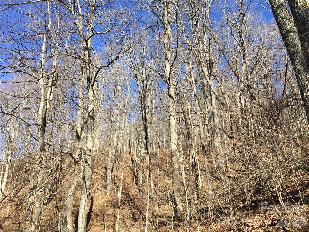 99999 Red Oak Forest Road